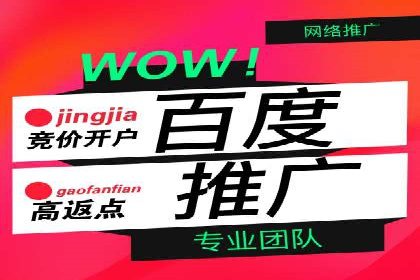 SEM托管公司成功案例：助力企业腾飞